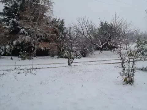 hiver antre des vices