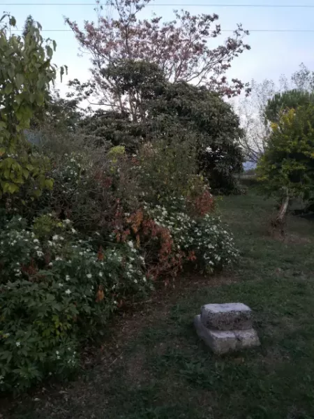 automne antre des vices