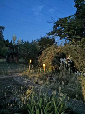 nuit antre des vices